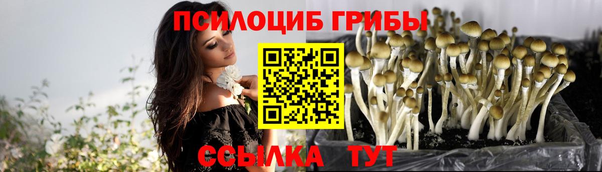 Псилоцибиновые грибы Psilocybe  Вход с VPN  Галлюциногенные грибы прущие грибы  Орск 